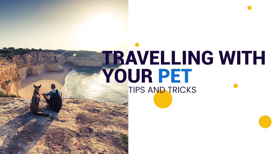 Traveling-With-Your-Pets